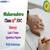 Maharashtra 12th HSC History Previous Years' Question Papers: Download PDF